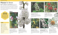 Das Bienen Buch