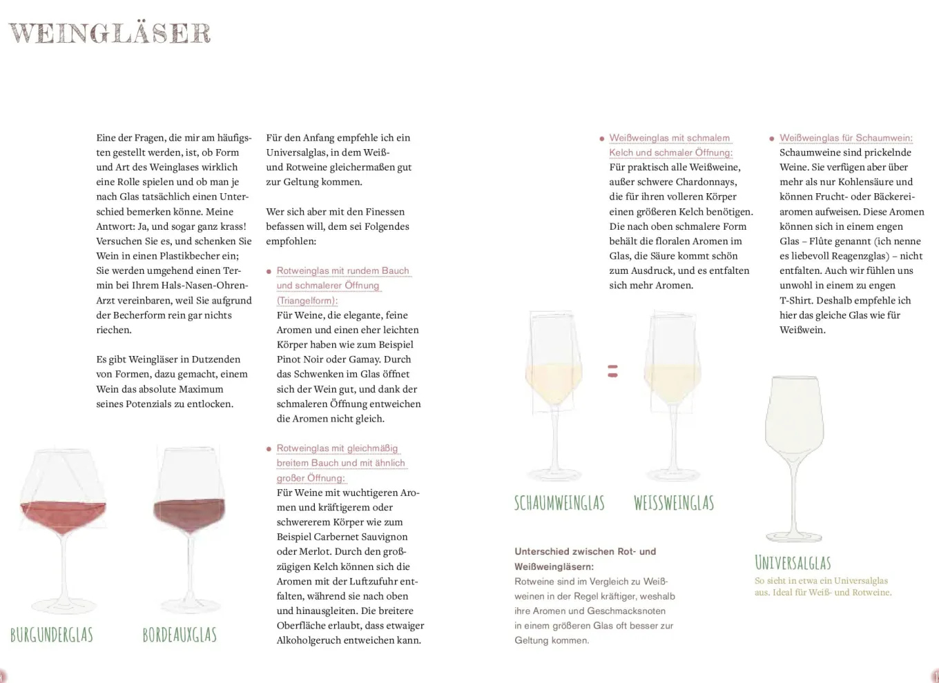 Endlich Wein verstehen