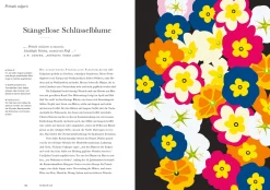 Herbarium