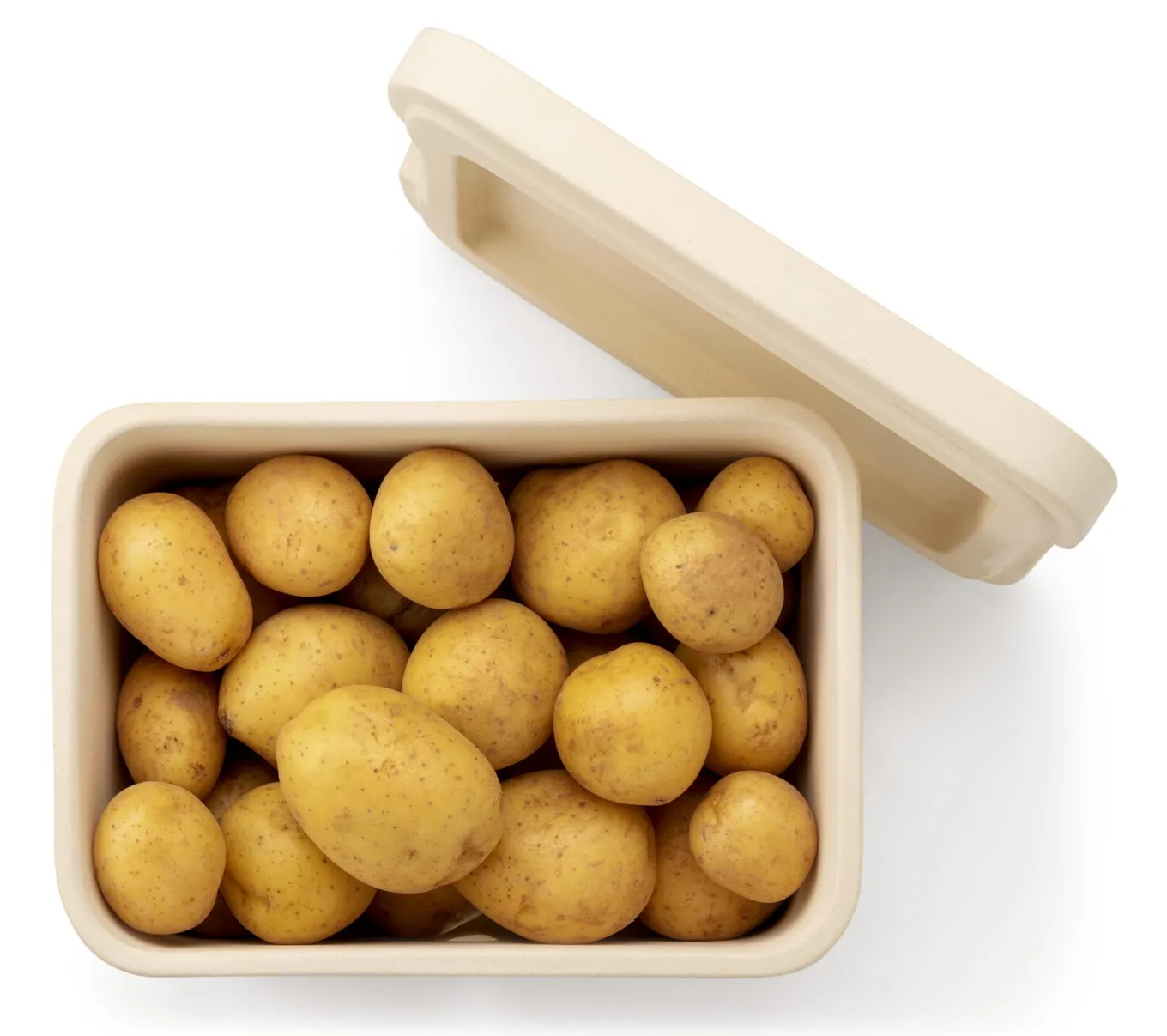 Kartoffelkasten Rehau