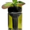 Pflanzgefäß Self Watering Bottle