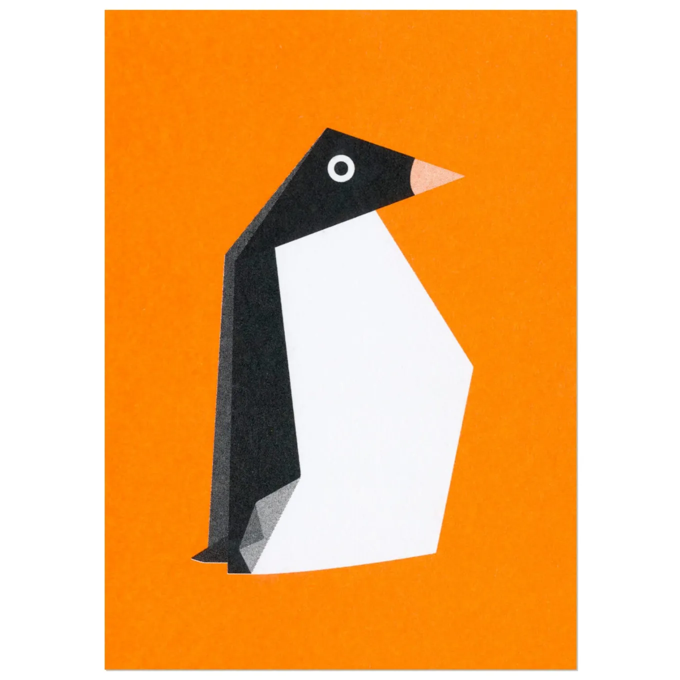 Postkarten-Set Riso