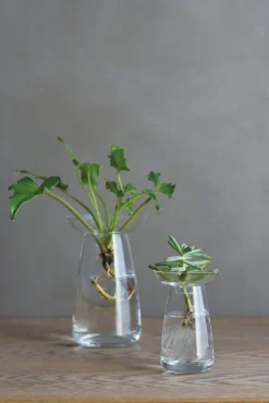Vase Aqua, klein