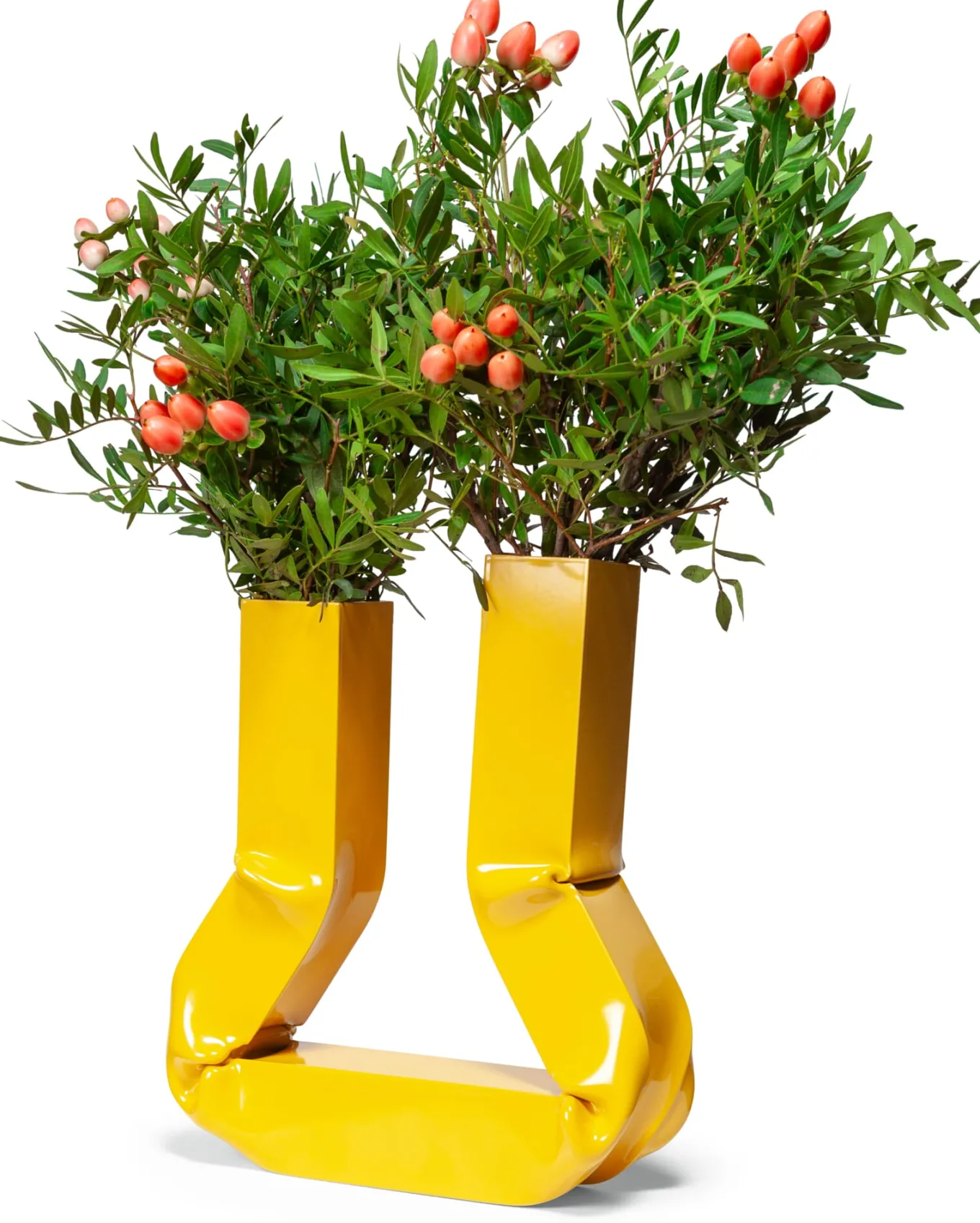 Vase Vasi