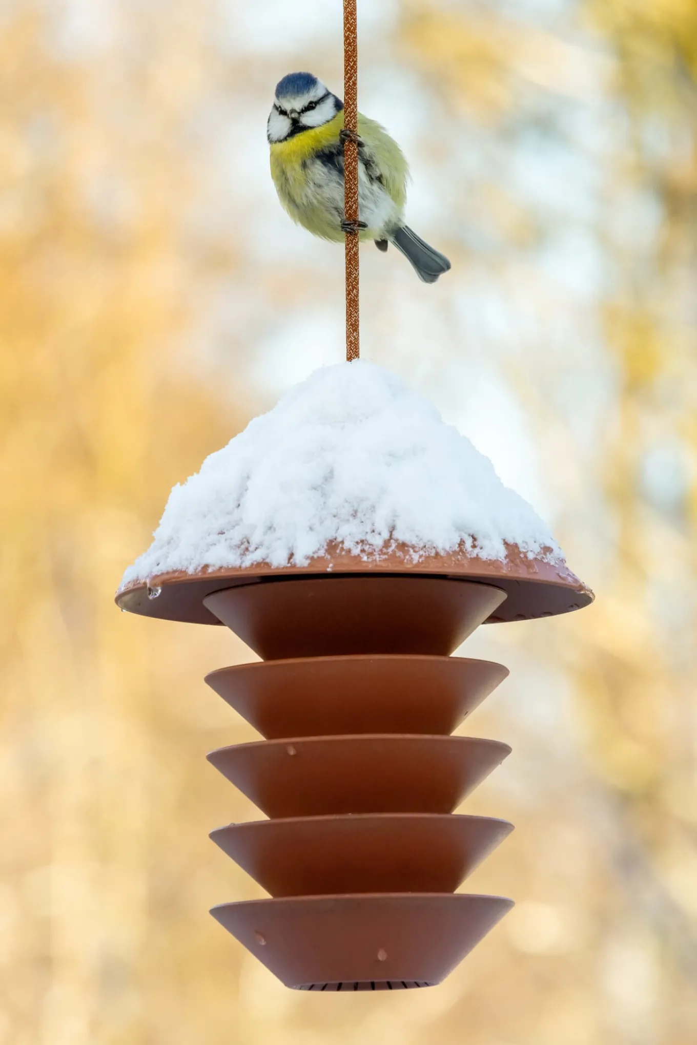 Vogelfutterspender Bird Silo