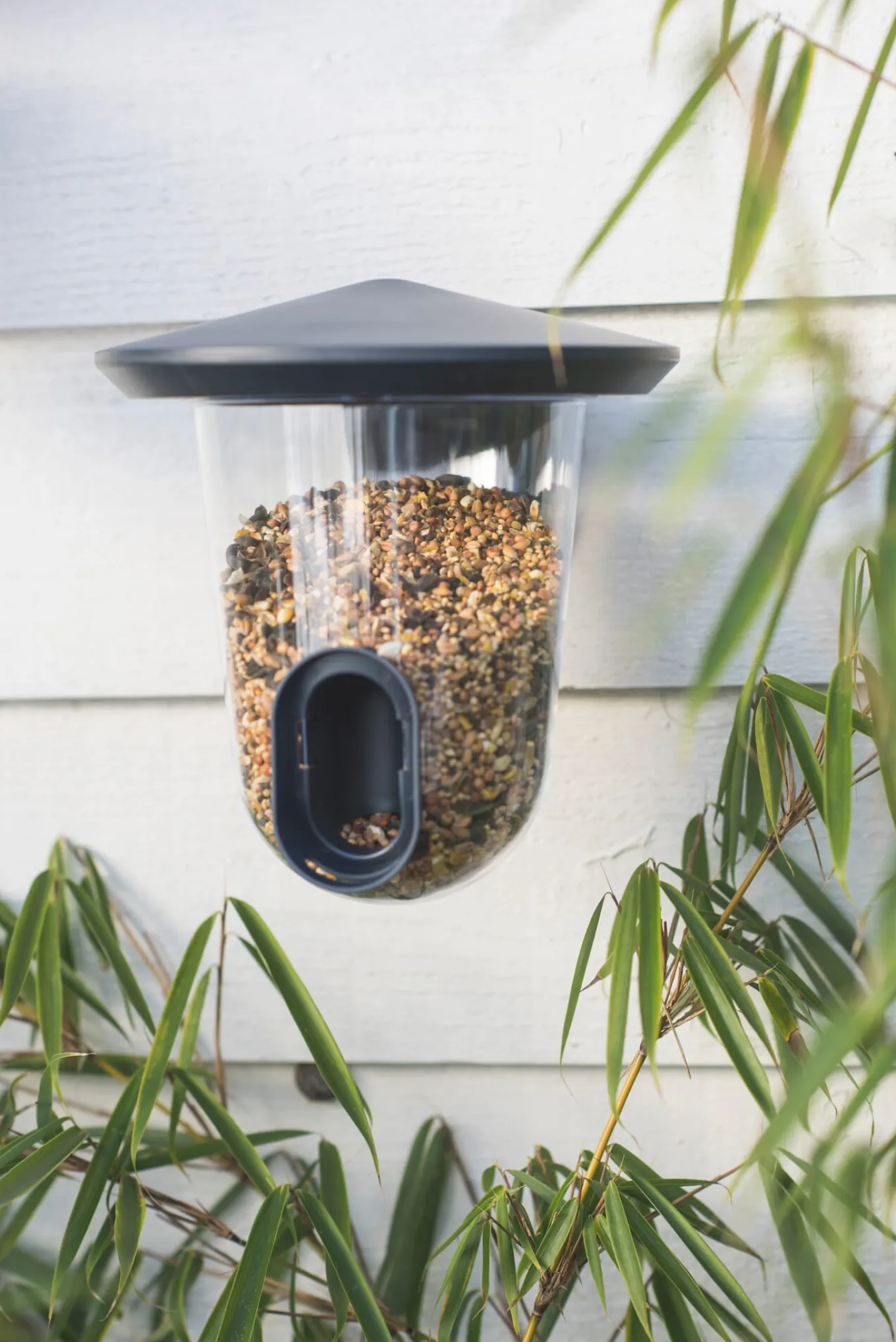 Vogelfutterspender FeedR